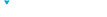 Next Entity Logo